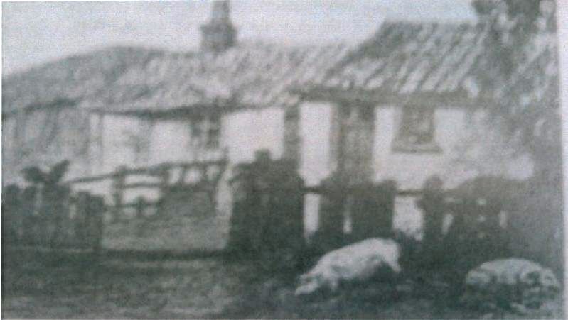 piggeries